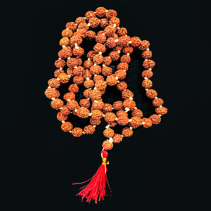 Rudraksha Bead Mala with Red and Yellow Thread